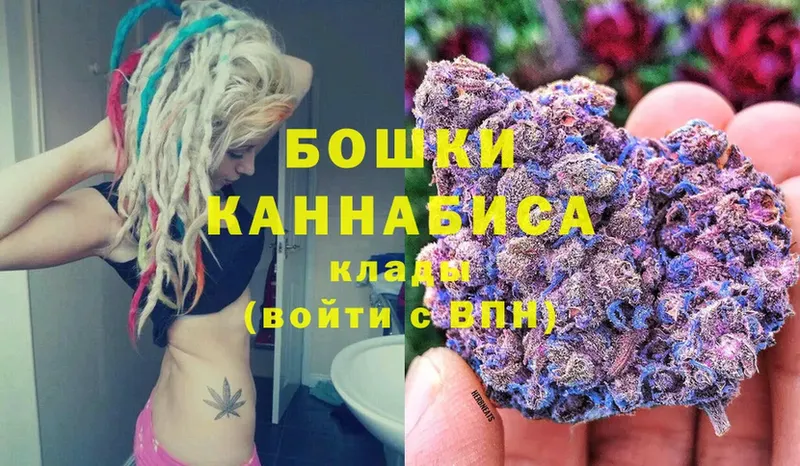 наркотики  Малая Вишера  Бошки марихуана SATIVA & INDICA 